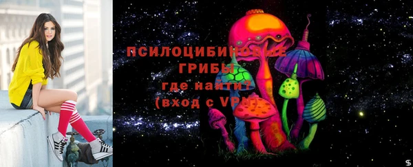 spice Кулебаки
