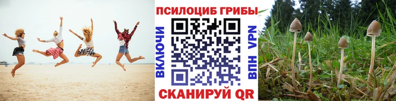Галлюциногенные грибы MAGIC MUSHROOMS  Купить где  Кириллов 